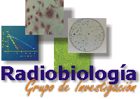 Radiobiology Research Group
